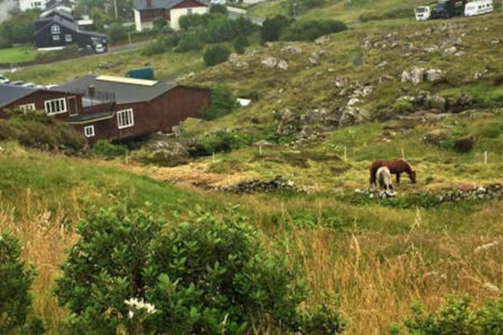 Hyggelig Lejlighed Ved Aen - Flot Udsigt Torshavn Ngoại thất bức ảnh